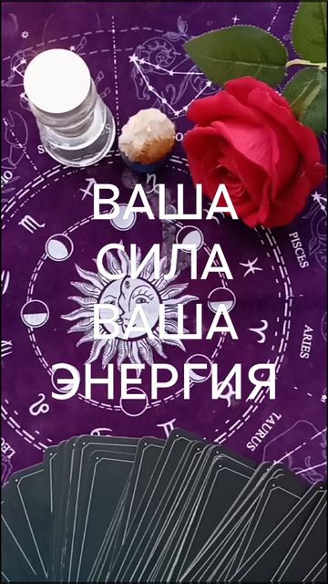 ГДЕ ВАША СИЛА