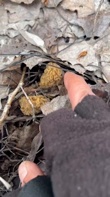 7a857bd993237bc7eecc80022b4e36de