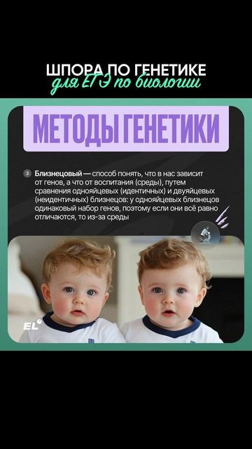 Скорее скринь 🔥 Забирай больше ШПОР в моем тгк в шапке канала #егэбиология