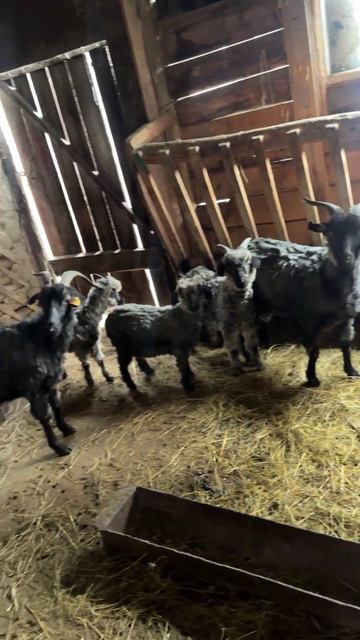 Project-2026-04-12 02:59:42.6920