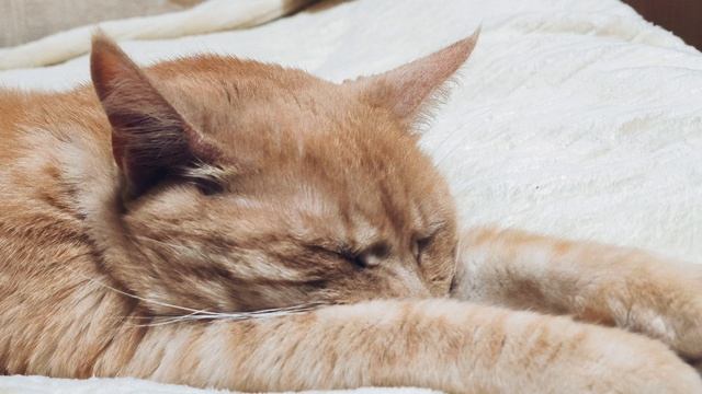 D5fb492c218aa0a2bc9375bc0bf1b7d6