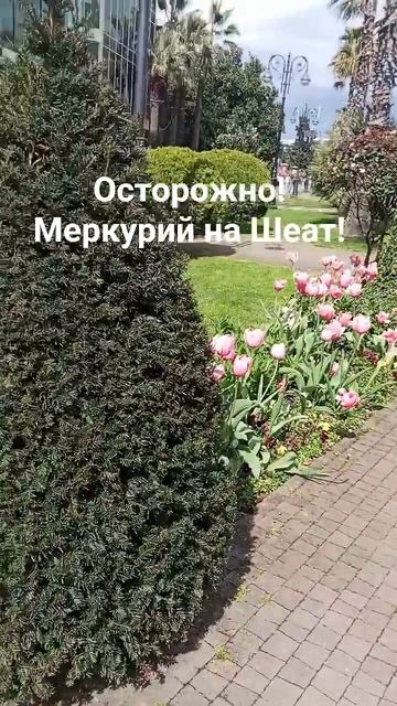 астропрогноз