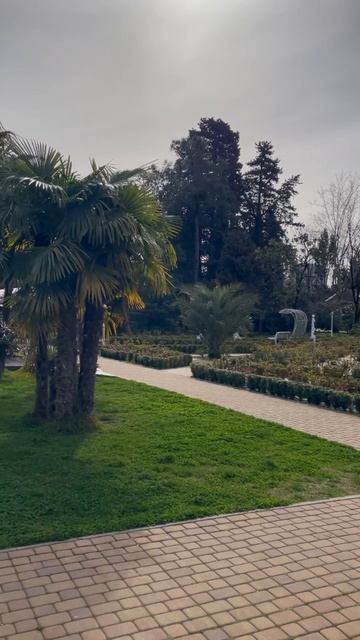 Розарий в парке Ривьера