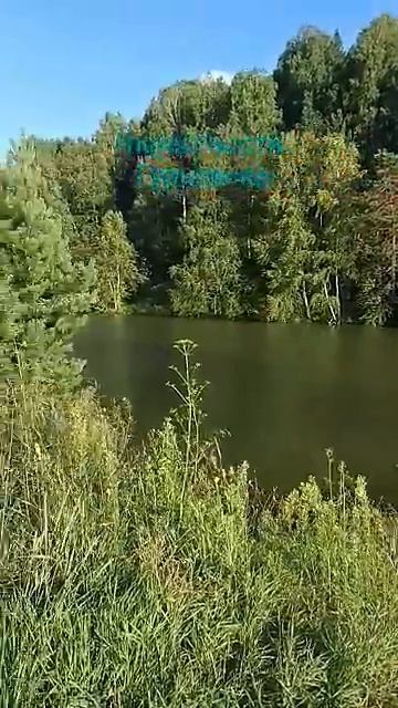 Река Толмовая в окрестностях Гурьевска! #гурьевск#река#кузбасс