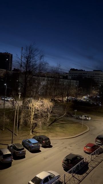 Птицы в Санкт-Петербурге в ожидании белых ночей. Поют как в лесу