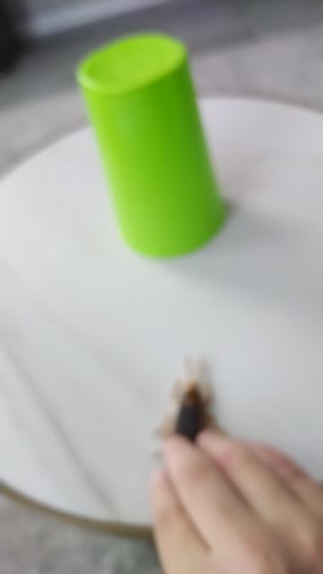 путешествие таракана вокруг стакана часть 2