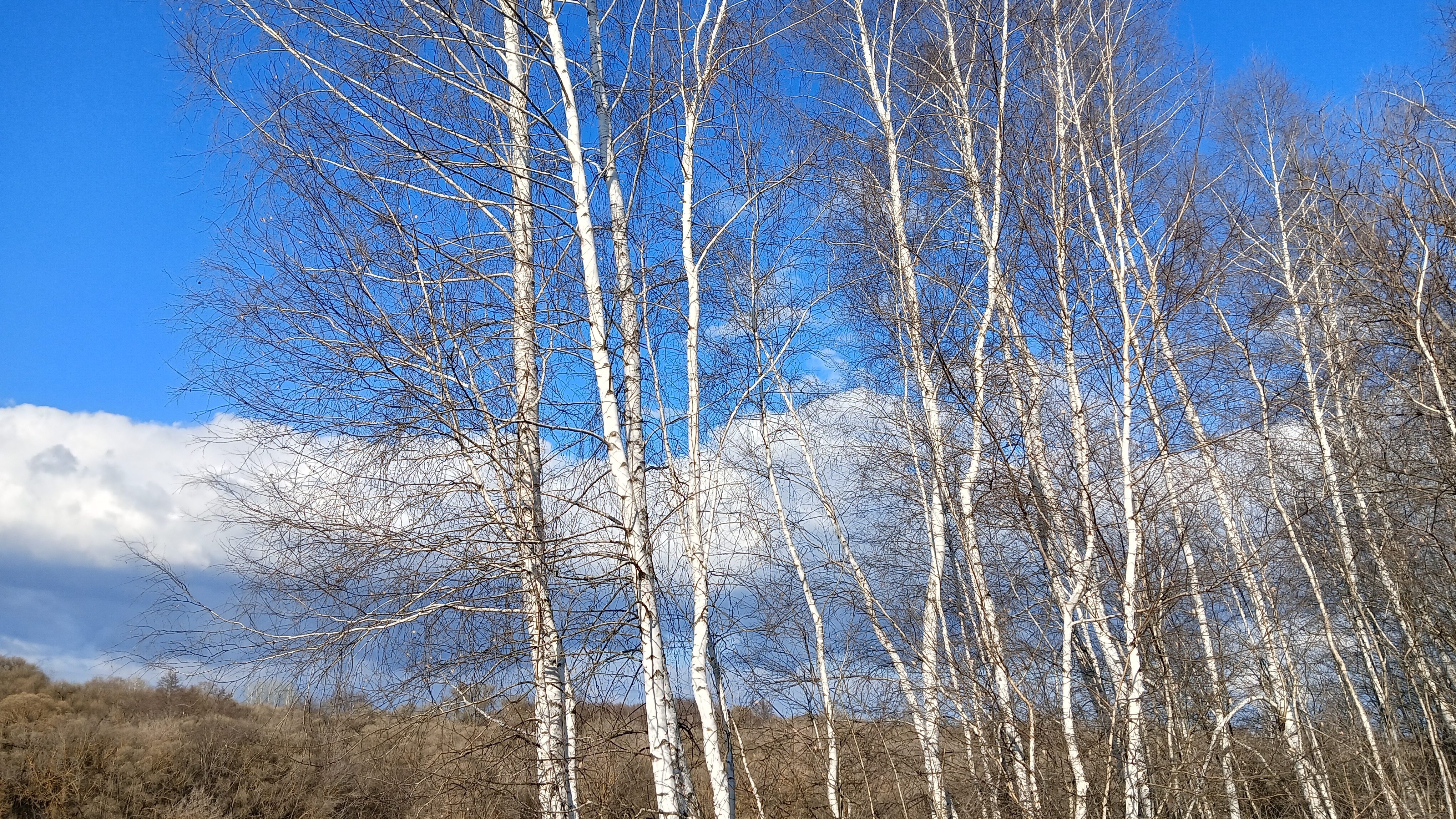 8d399caaa8fb523461042c38ee329f3c