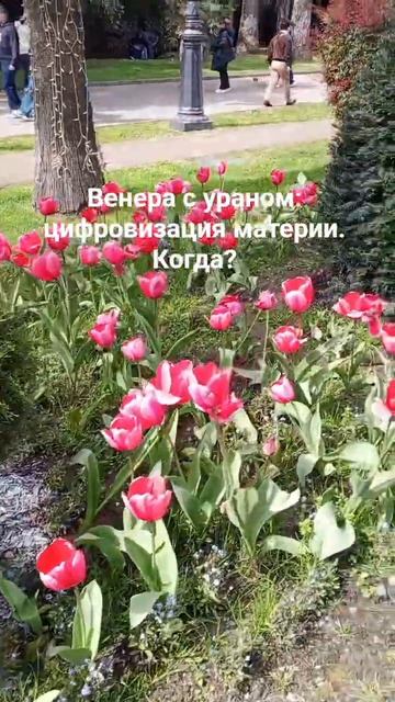 астропрогноз