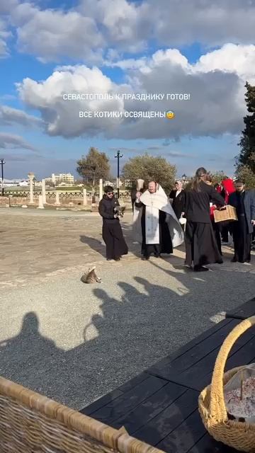 20260412  В Севастополе священник освятил кота, который пришел на пасхальную службу   С Пасхой!