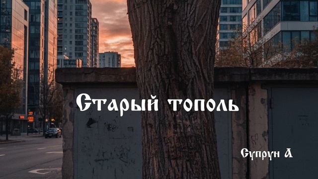 Старый тополь
