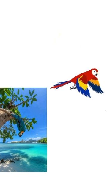 c7acb9ff5bcf4e31aa1fb18bc3cd5e91