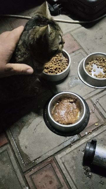 Весна, цветы, девчонки... Вот, это жизнь!