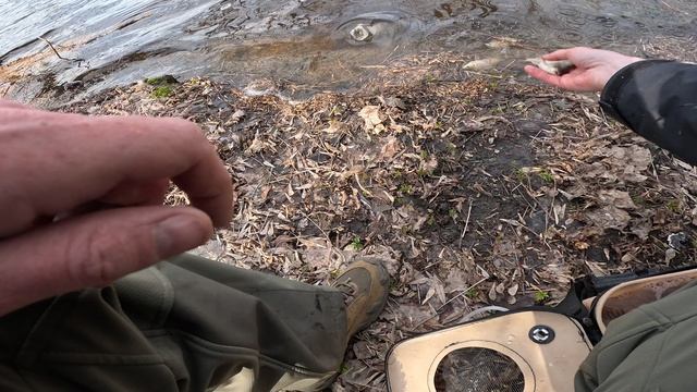 Вода пришла в Бориску. 13.04.2026. Обстановка на Борисоглебском озере.