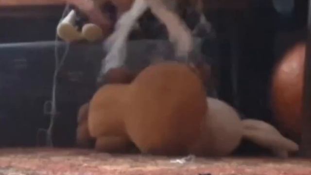 Поросёнок по имени Пятачок 2 история