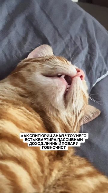 МАССАЖИСТА ЗАБЫЛА 🤣