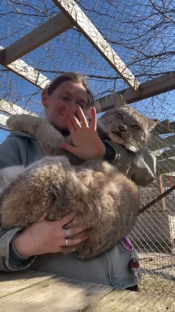 Автор видео: Big_run_rainah