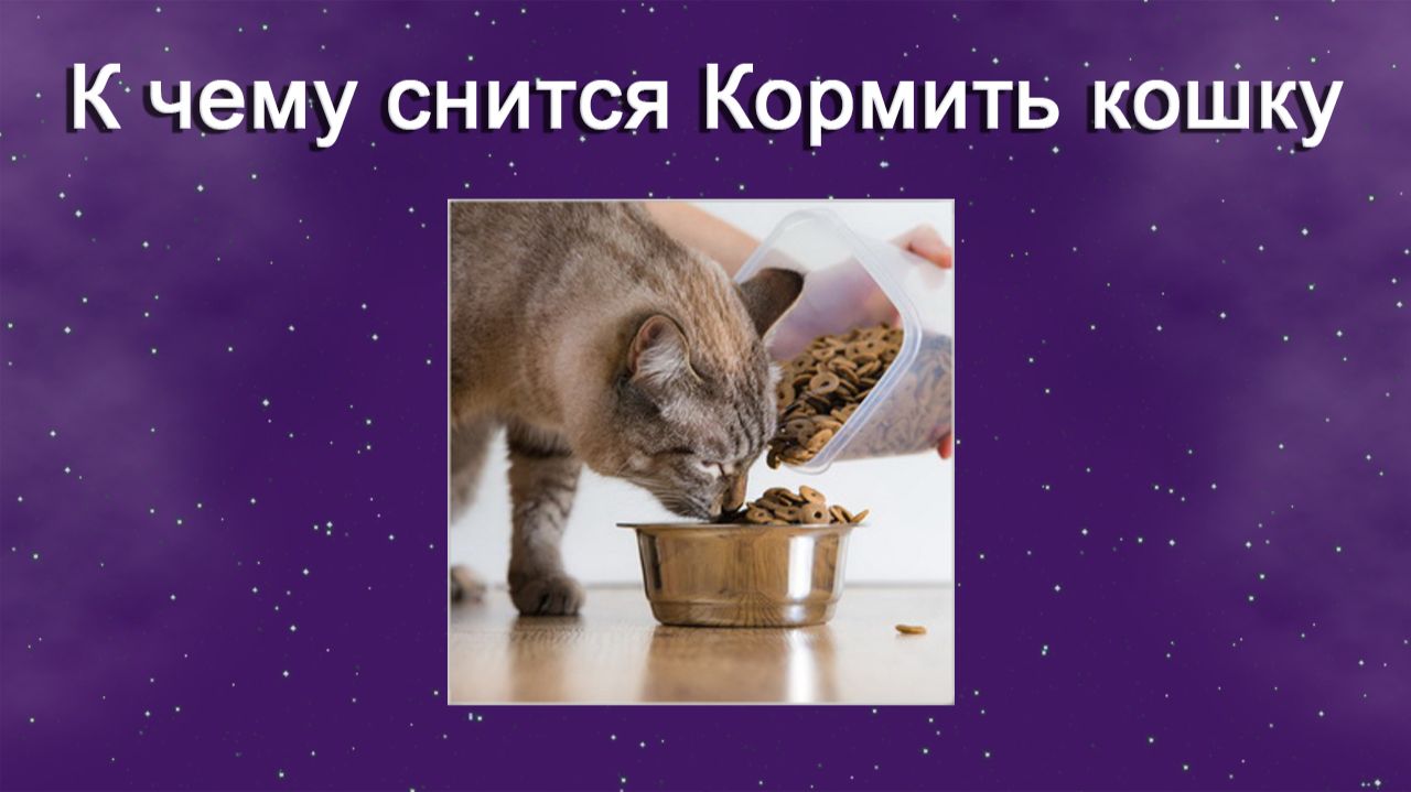 К чему снится Кормить кошку - толкование сна