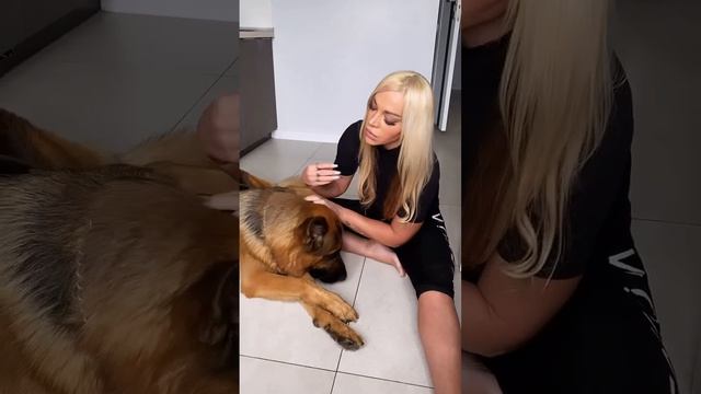 Деловой /крутой !
Полезно ?
Пиши коммент 😘