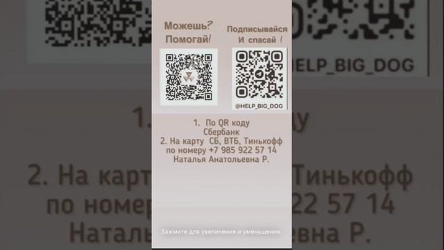 Нежная красавица САО Варя 🌸ищет 🏠❗Пост в описании видео 🎥 #собака #сао #счастье #алабай #любовь