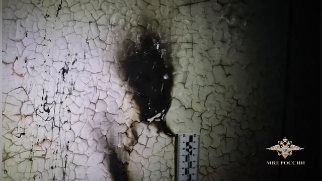 Столичной транспортной полицией задержан юноша, подозреваемый в поджогах релейных шкафов