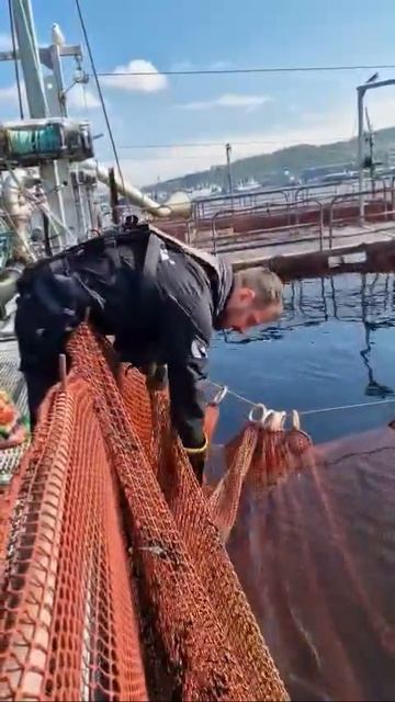 Новая сфера применения экзоскелета PROEXO комплектации SUPERLITE