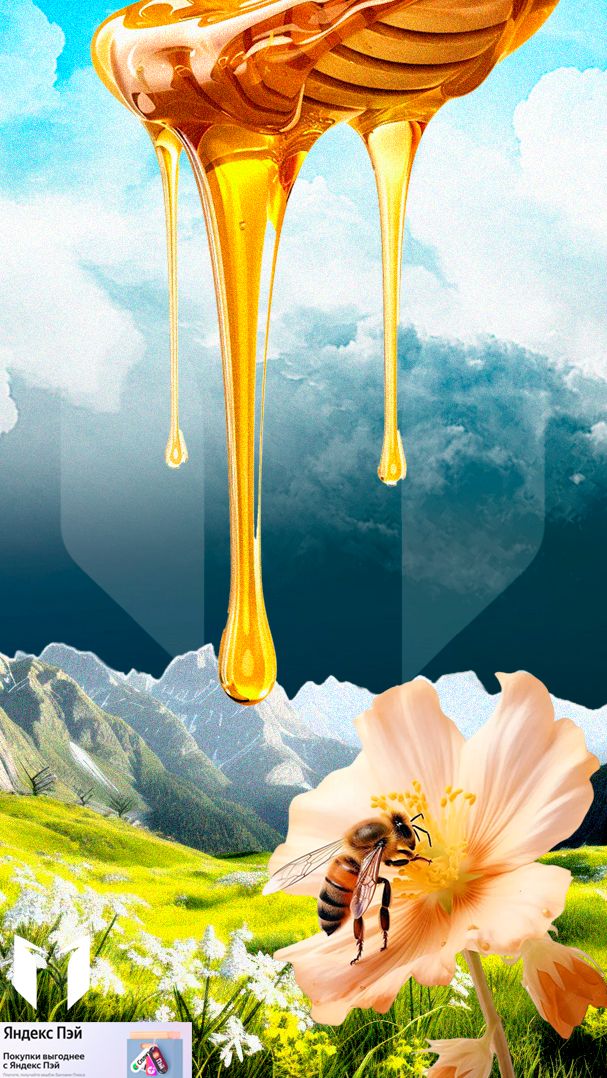 Парень проверил бизнес-план по заработку на дешёвом мёде в красивой упаковке и он реально сработал.