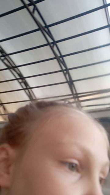 VID_20260413_181027.mp4