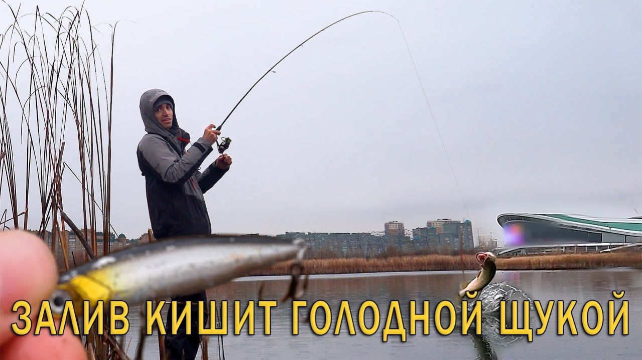 Это рыбалка мечты! Воблер без лопатки косит щуку в заливе! Рыбалка на спиннинг с берега.
