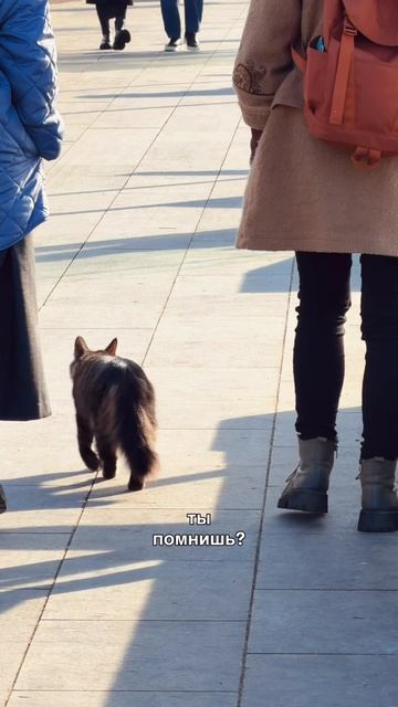 4c9526606835ed6ce91ee6aa950ea9ec