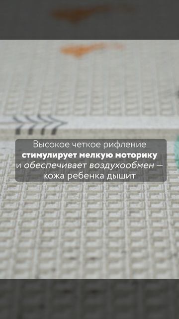 3х4 видеообложка PORTABLE лес чудес УВЕЛИЧЕННЫЙ ШРИФТ