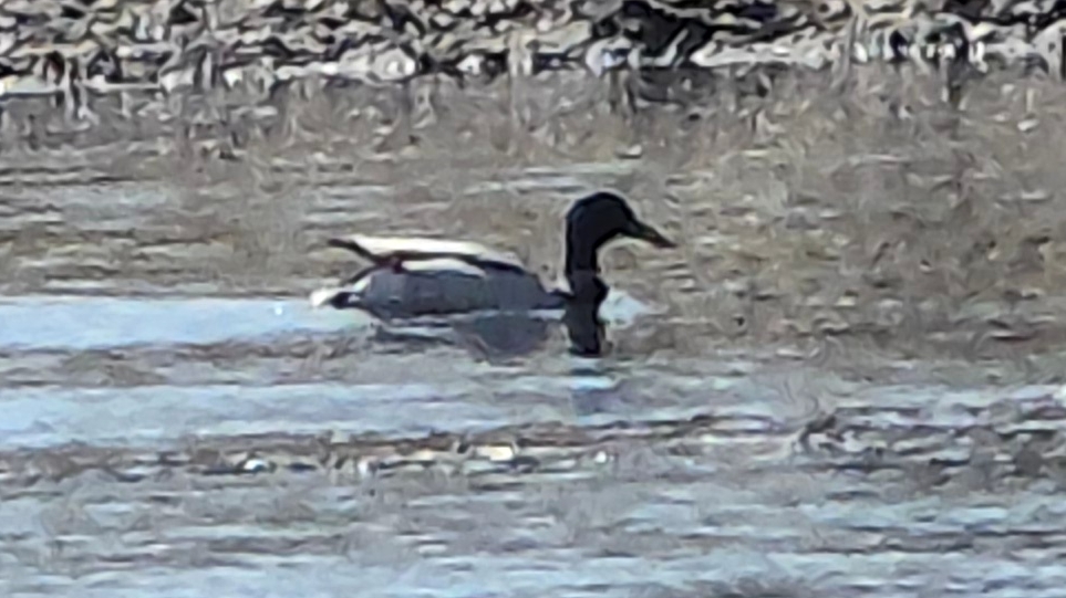 На реке местные жители