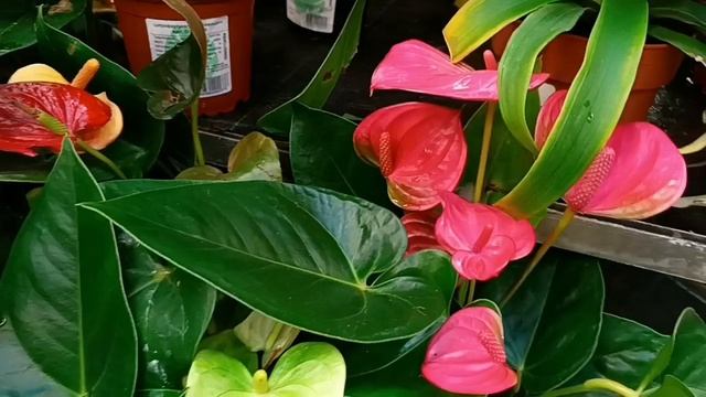 1fe5bab7ab3facc10836c7ebaf3e337d