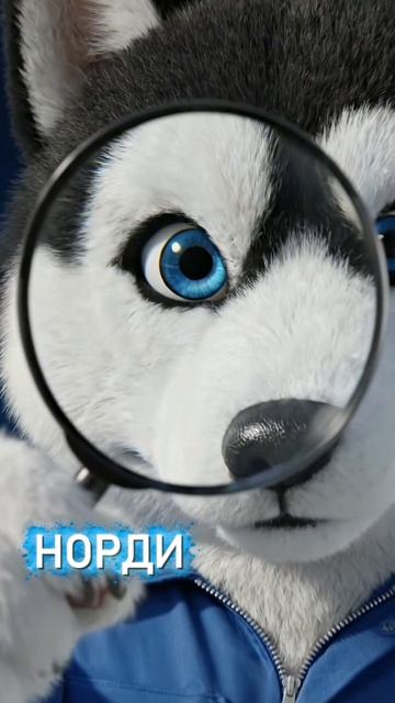 НОРДИ расследует 🔎