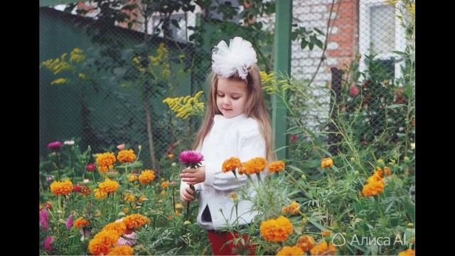 Оживление фотографии №183