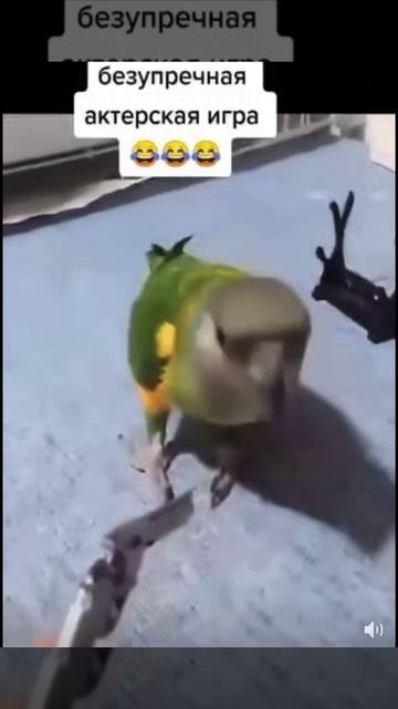 Убит по октëрске