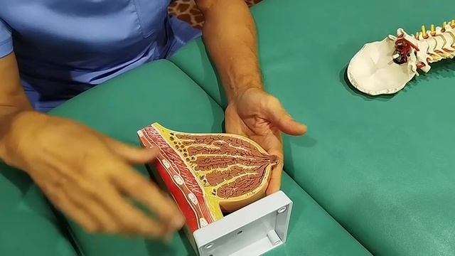 работа с телом