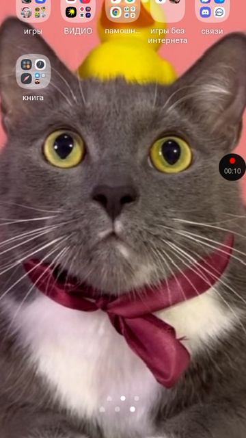 сейчас будет новый Стрим ура