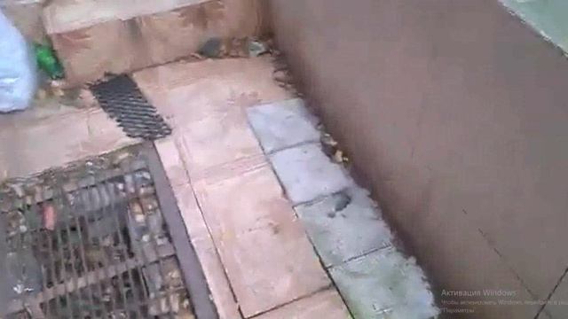 Fdcec79ed5b3d1e4e02f7e88af1ec082