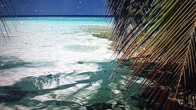 Рыма Чек — с помощницей Крошкой она устает больше чем когда готовит одна