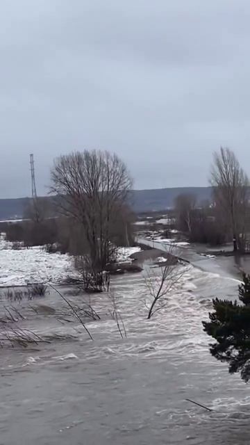 В результате половодья на реке Томь в Томске подтоплены 25 жилых домов и 185 приусадебных участков.