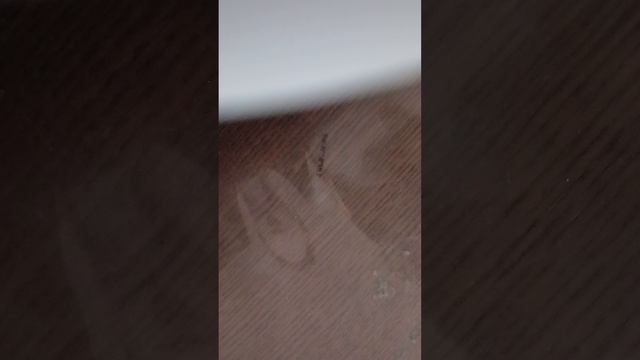 ОБЗОР МОИХ ФУТБОЛЬНЫХ КАРТОЧЕК!