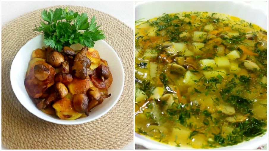 Блюда ИЗ ГРИБОВ (два рецепта)! Вегетарианские блюда!