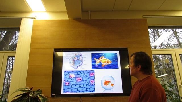 Занятие по здоровью в Клубе Coral Club