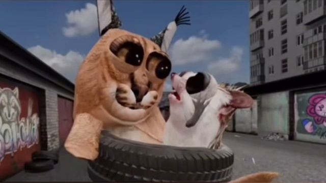 Мем с блоптопом