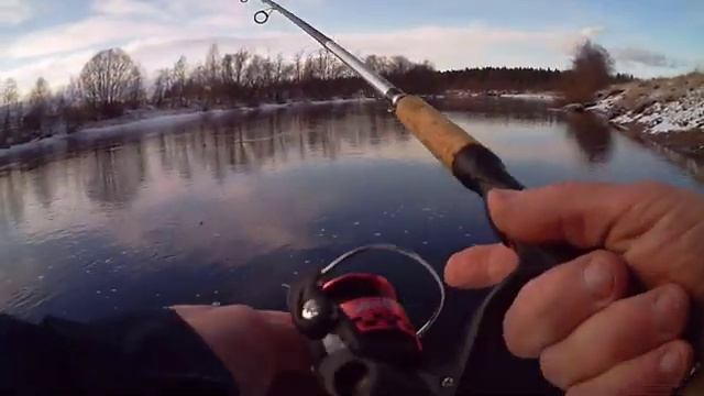 Апрельский хариус