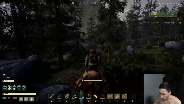 Играю в Икарус