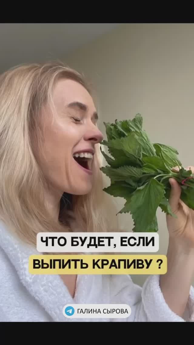 Что будет, если выпить крапиву?