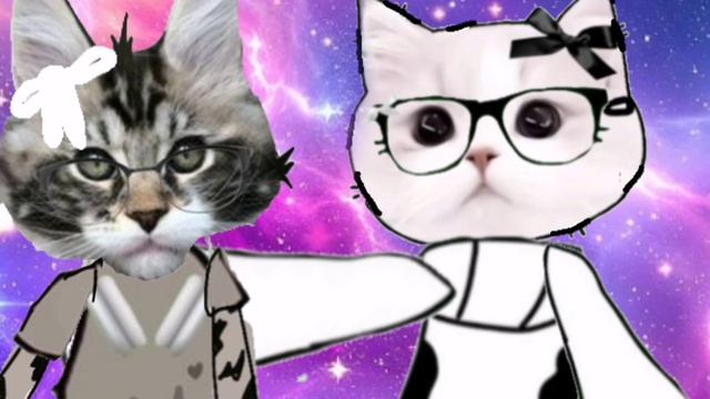 ~#чёрныйкот Я НЕ КОТ! КОЛБАСУ НЕ ДАМ АААА #РРЕК💝💝💝💝🐈🐈🐈~