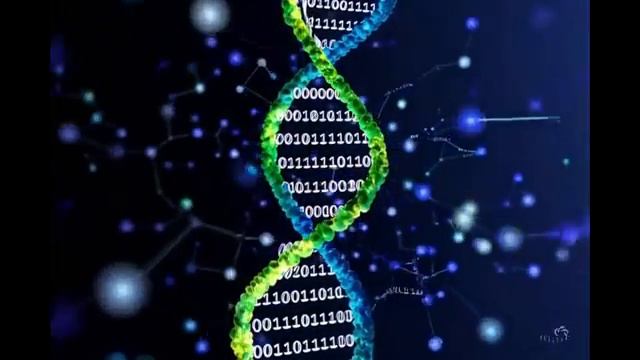 Сильная матрица ГАРЯЕВА. Исцеление, регенерация . Источник видео канал: Tirtha_Relax  на  YouTube .