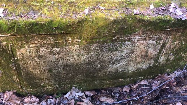 C58a5a26688bed828f0463df7f3964db